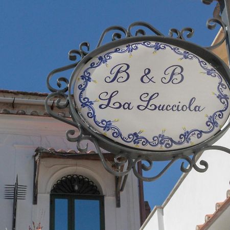 La Lucciola Apartman Amalfi Kültér fotó